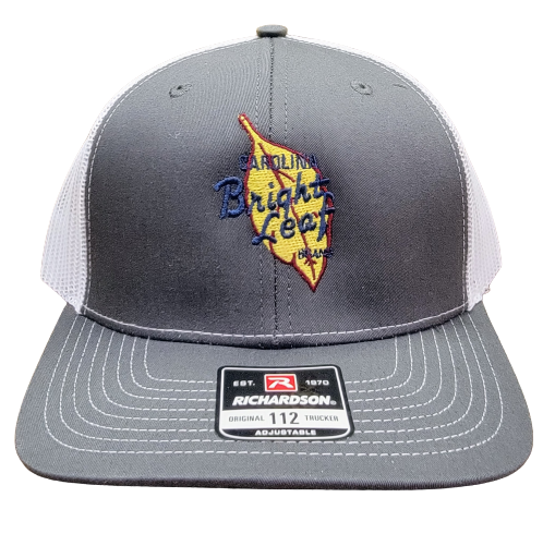 Asphalt Gray / White Mesh Snapback Hat (Structured)